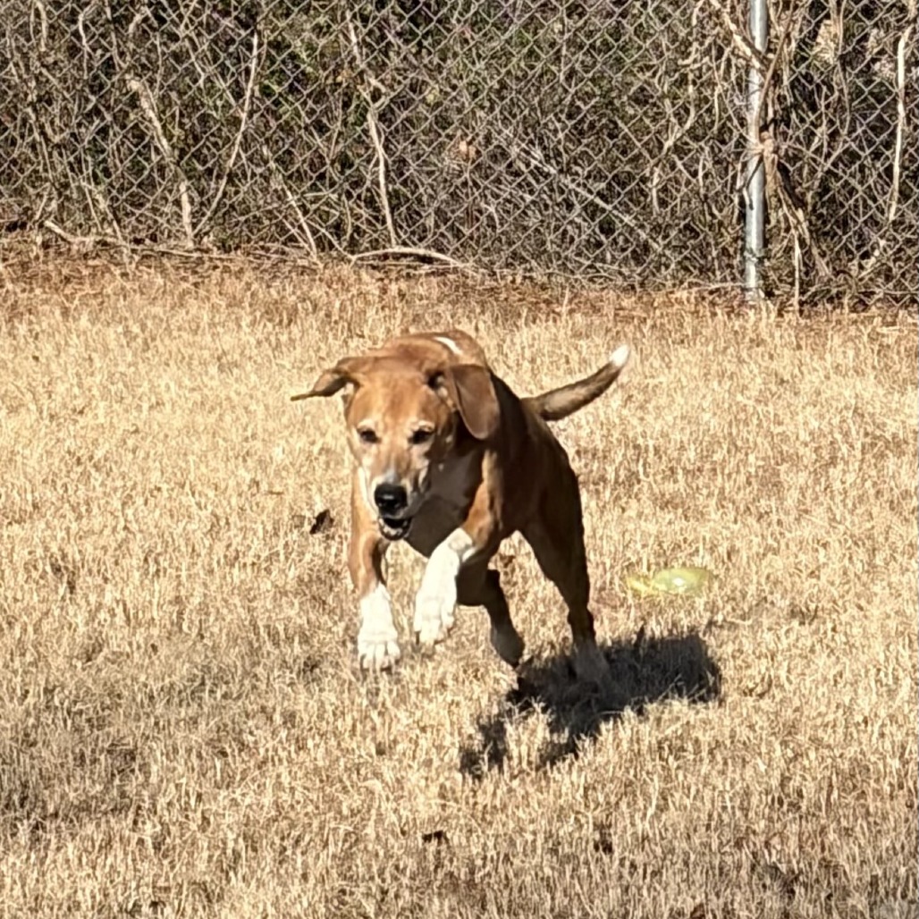 Dom — thumbnail 10