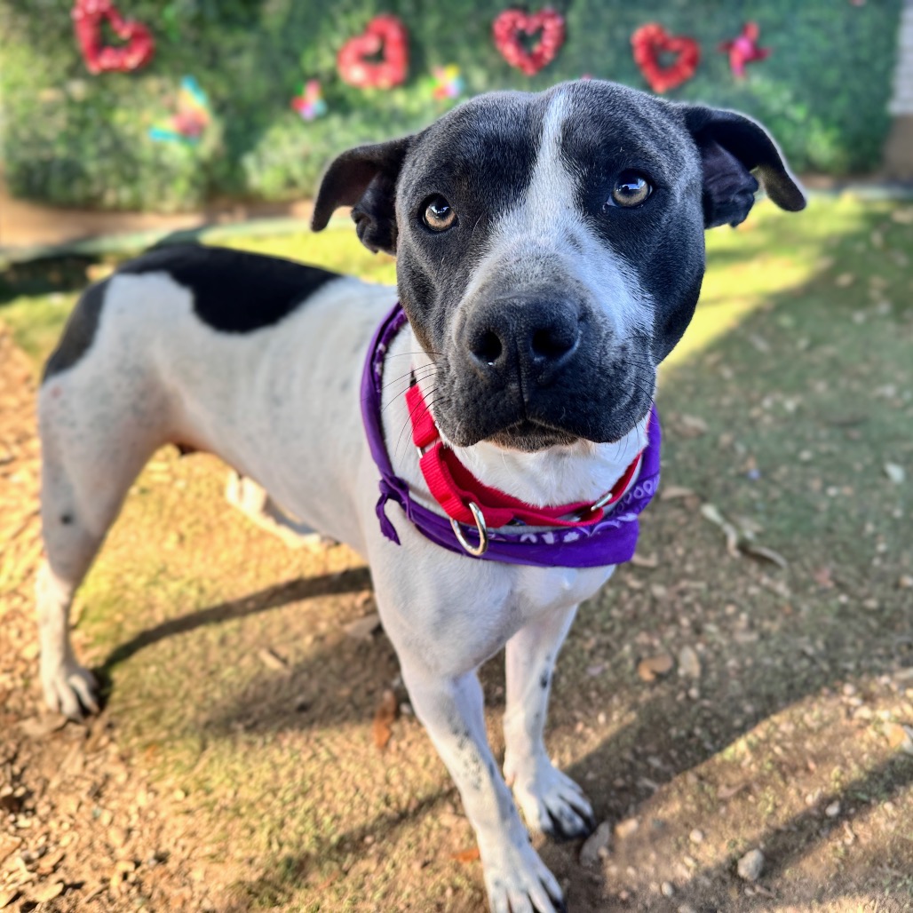 Lillian — thumbnail 9