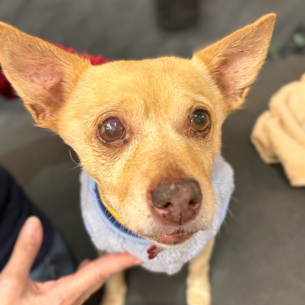 Gloss 13598 — thumbnail 5