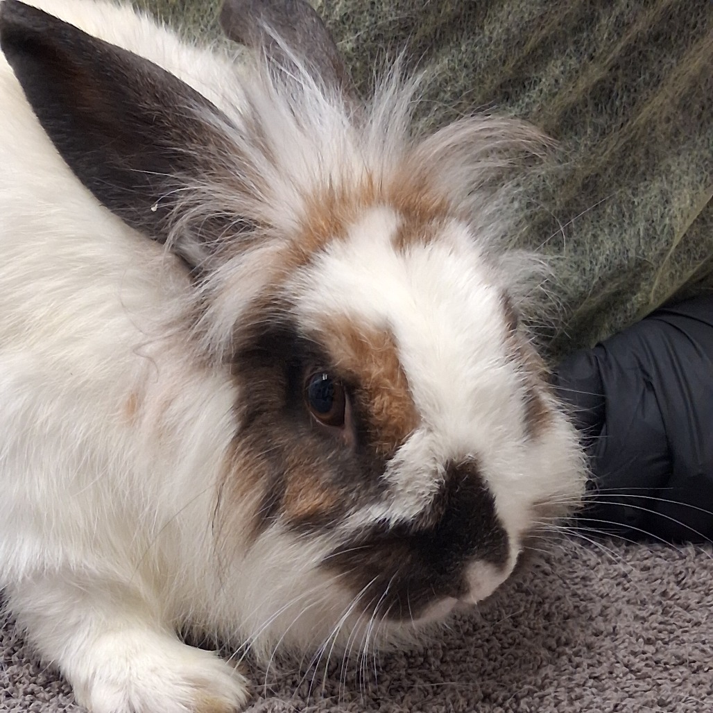 Mama Maude, photo 2