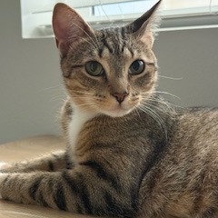 Juliette, photo 6