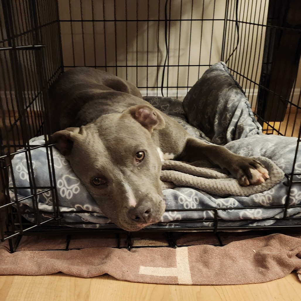 Winnie Waddles, photo 14