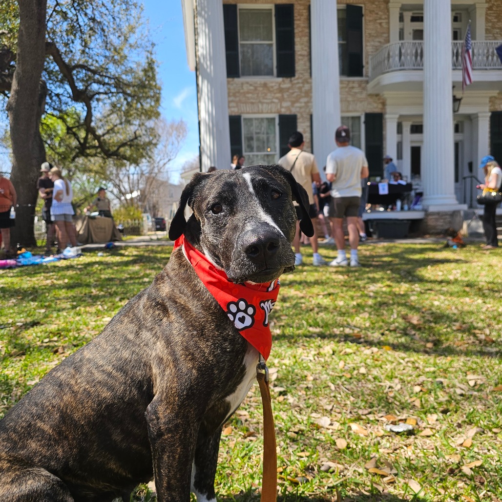 Cookie Cuddles — thumbnail 11