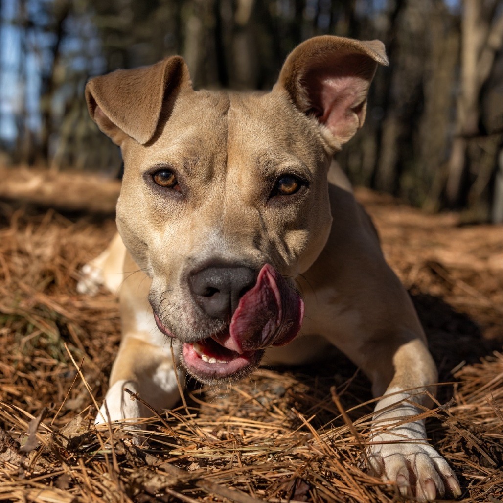 Pippa 01-1426, photo 12