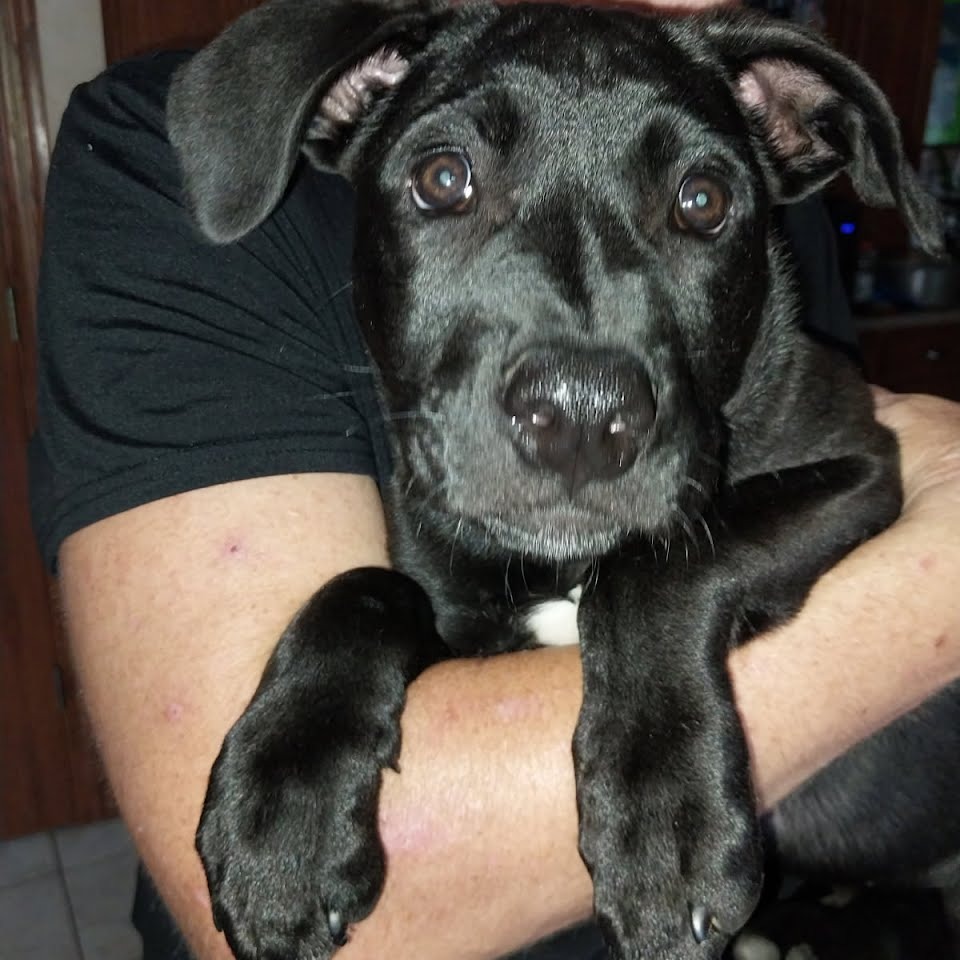 Charlie 
