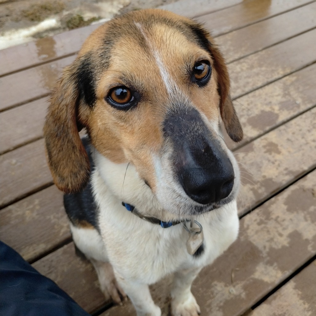 Buster — thumbnail 5