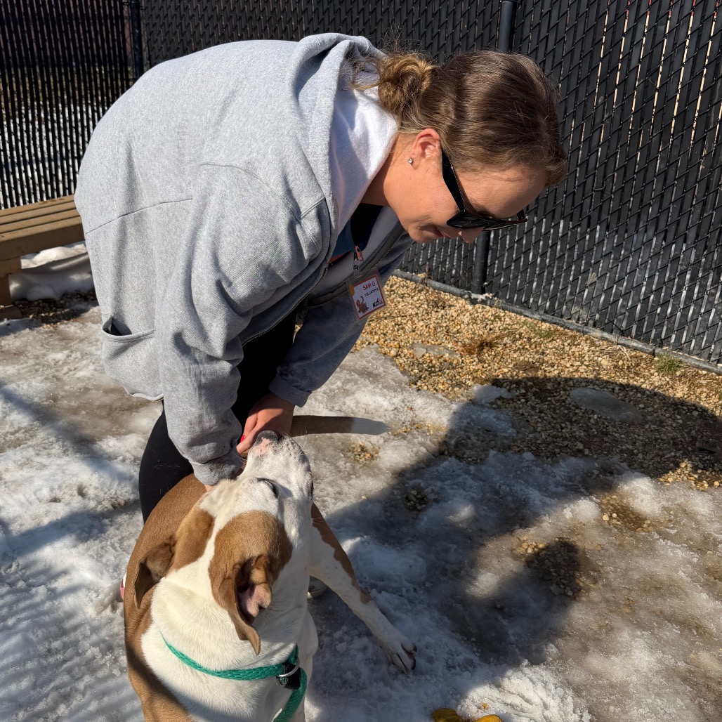 Jones — thumbnail 3