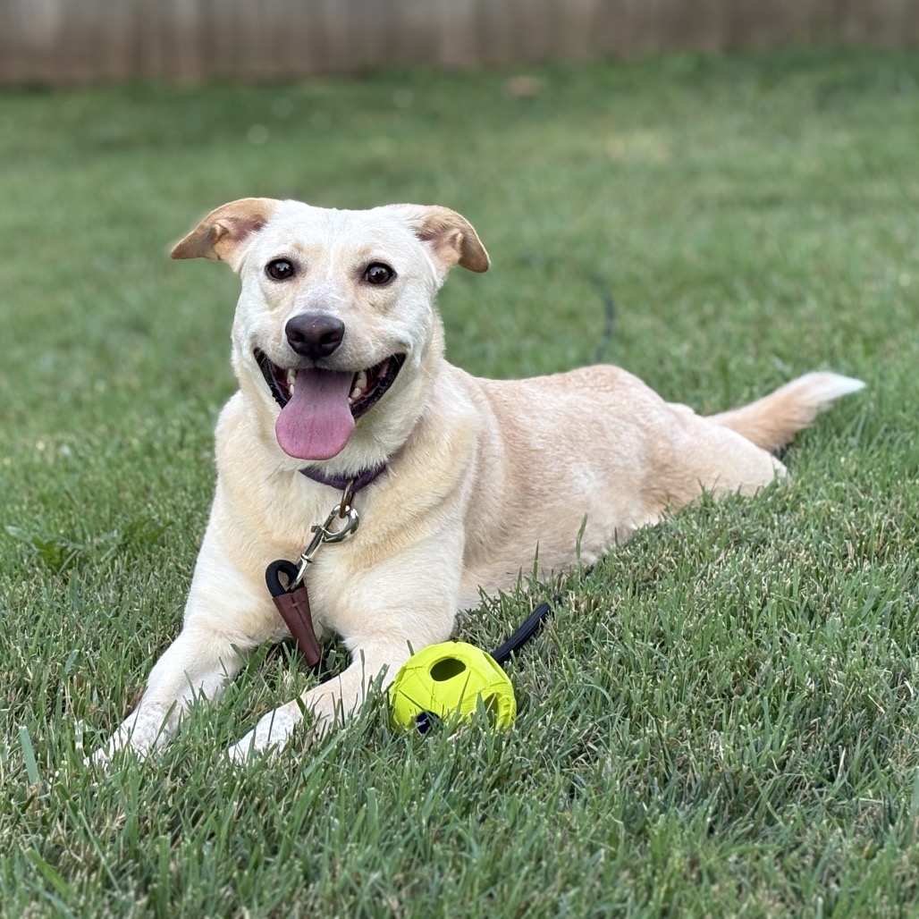 Butter, photo 22