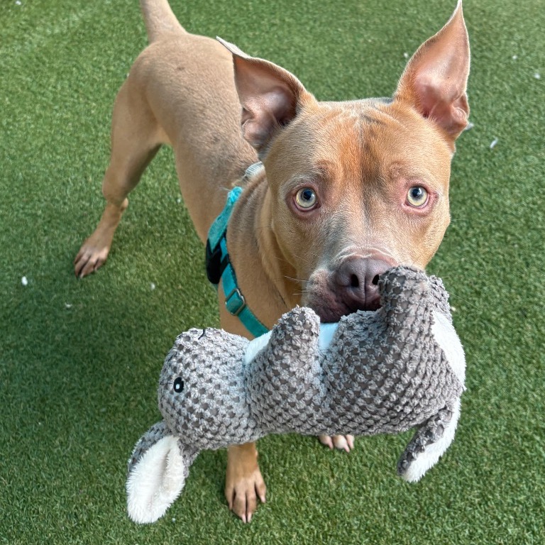 Photo of Atticus playing