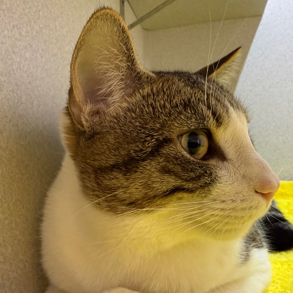 Photo of Nick Carraway 21