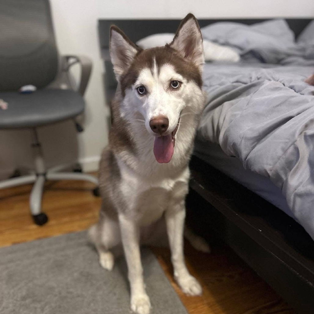 Tala