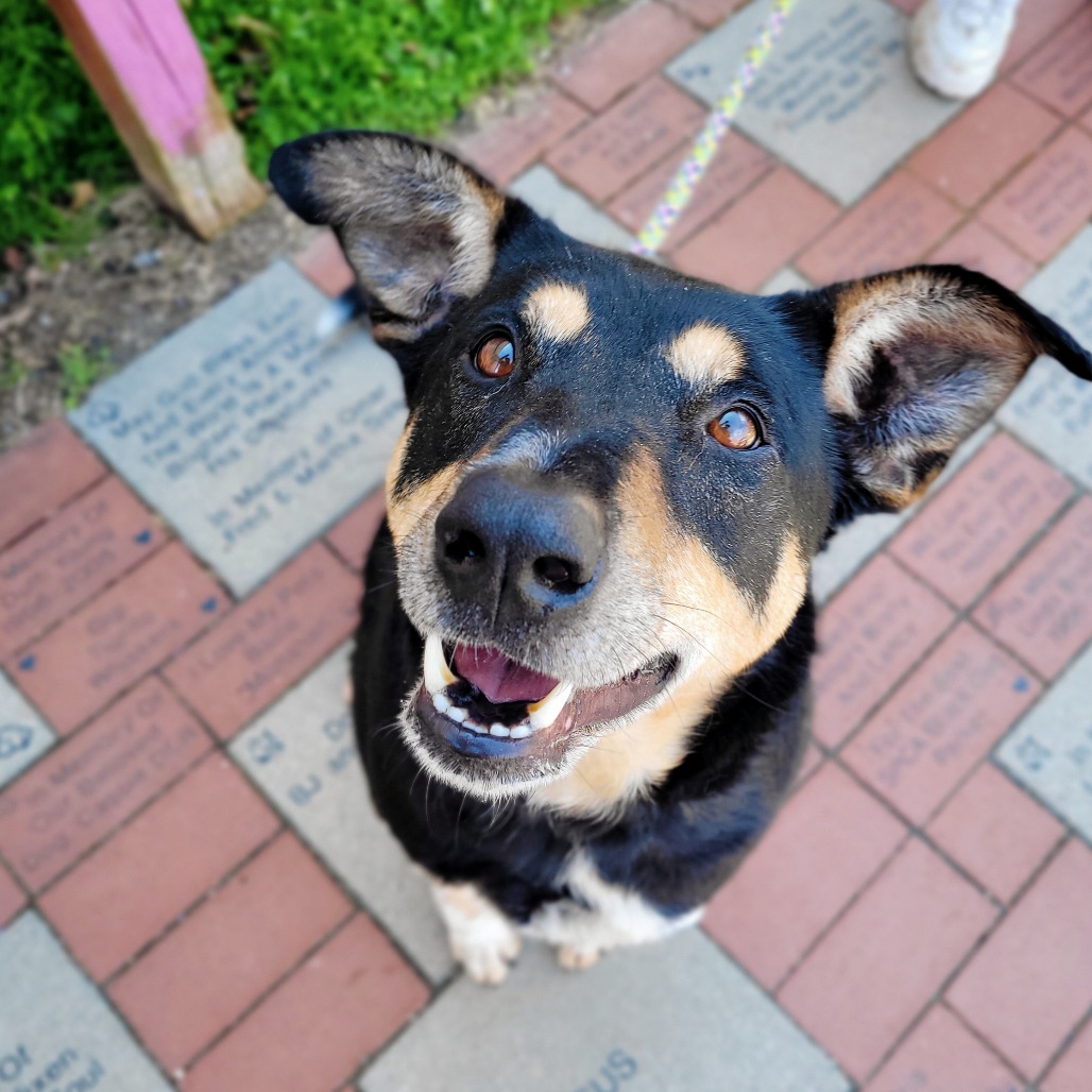 Louie, photo 3