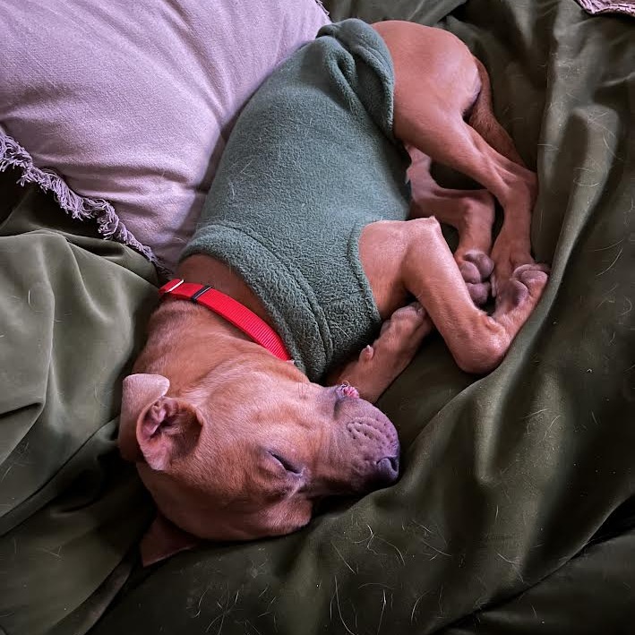 Nora — thumbnail 10