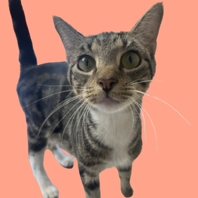  Photo of Lola