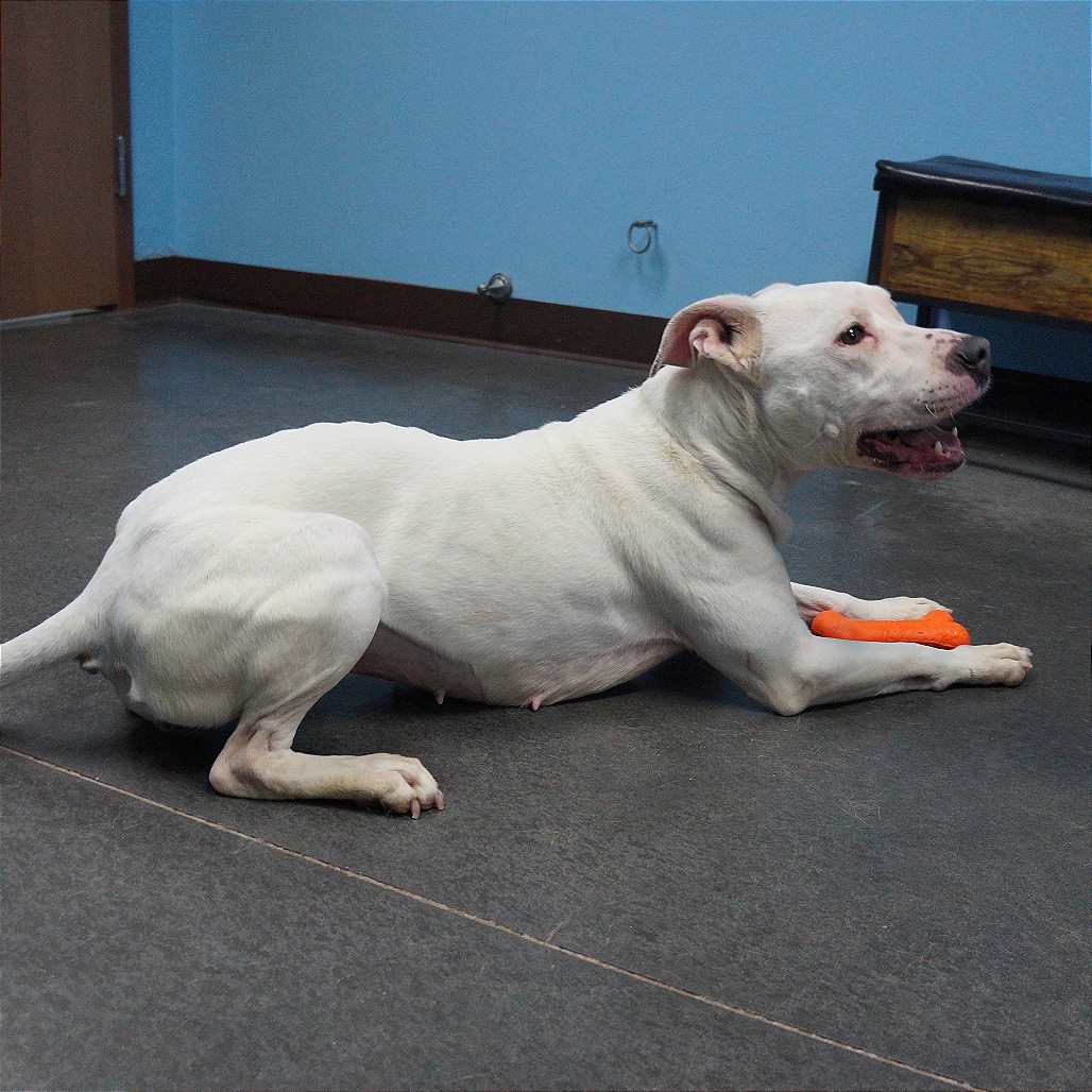 Zora — thumbnail 9