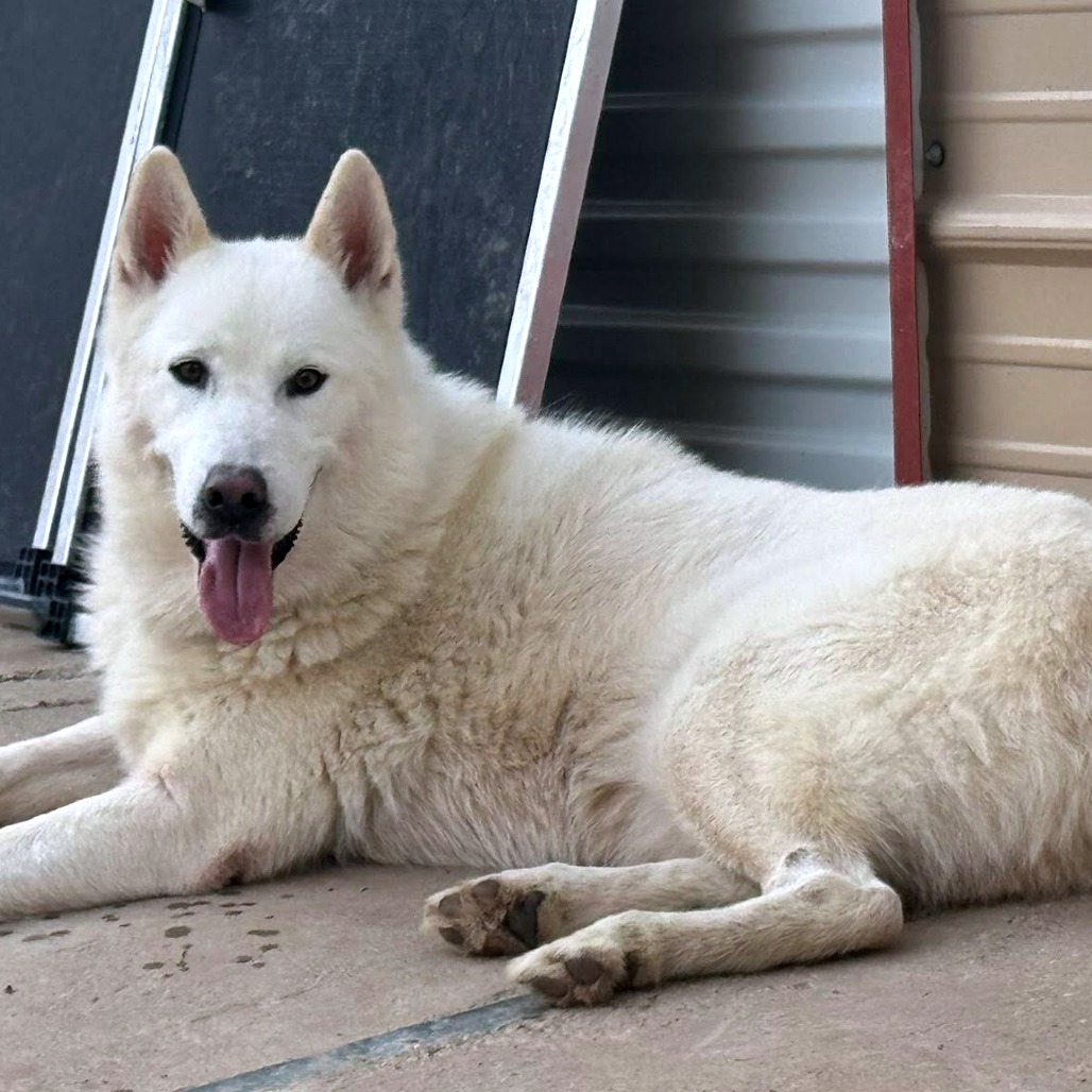 Photo of Casper