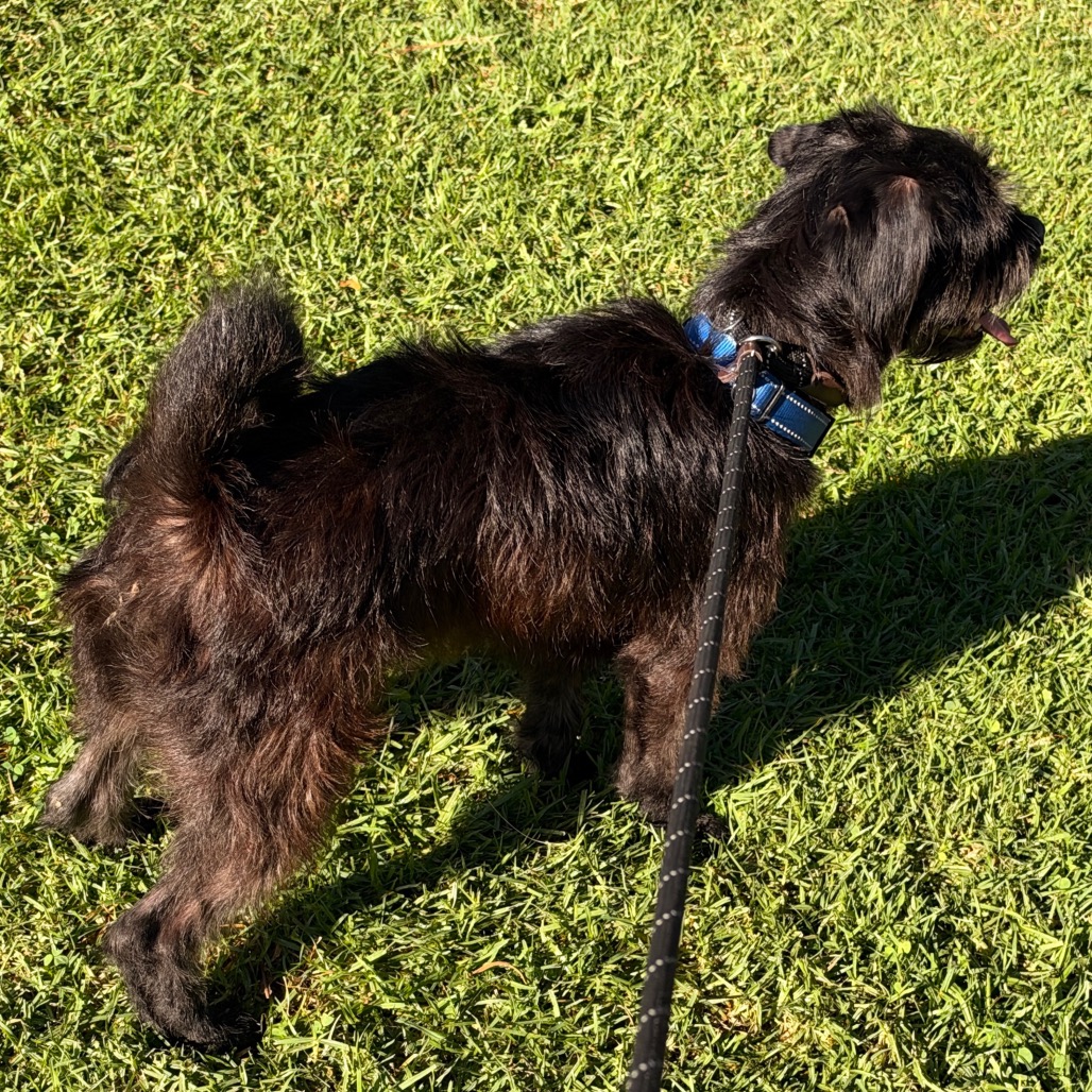 Fetch - Costa Mesa Location, photo 10