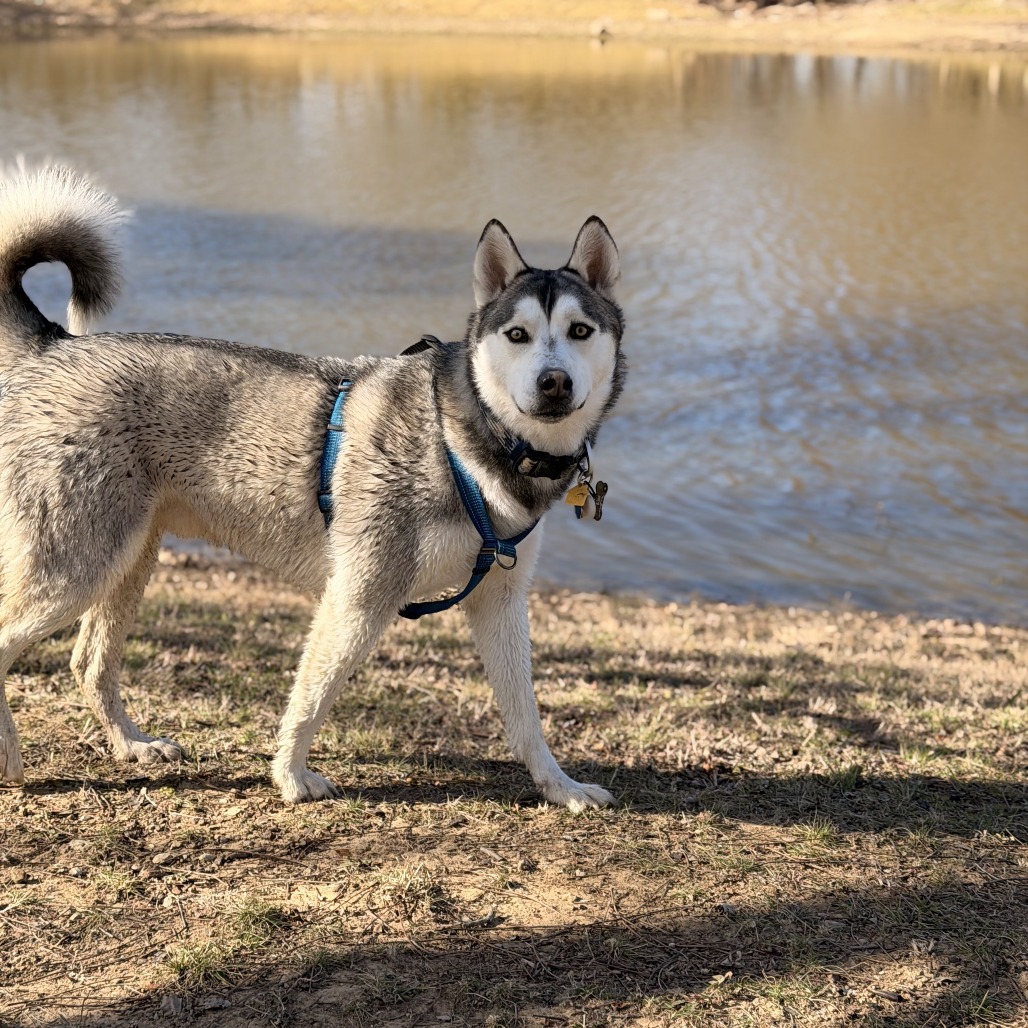 Kai, photo 13