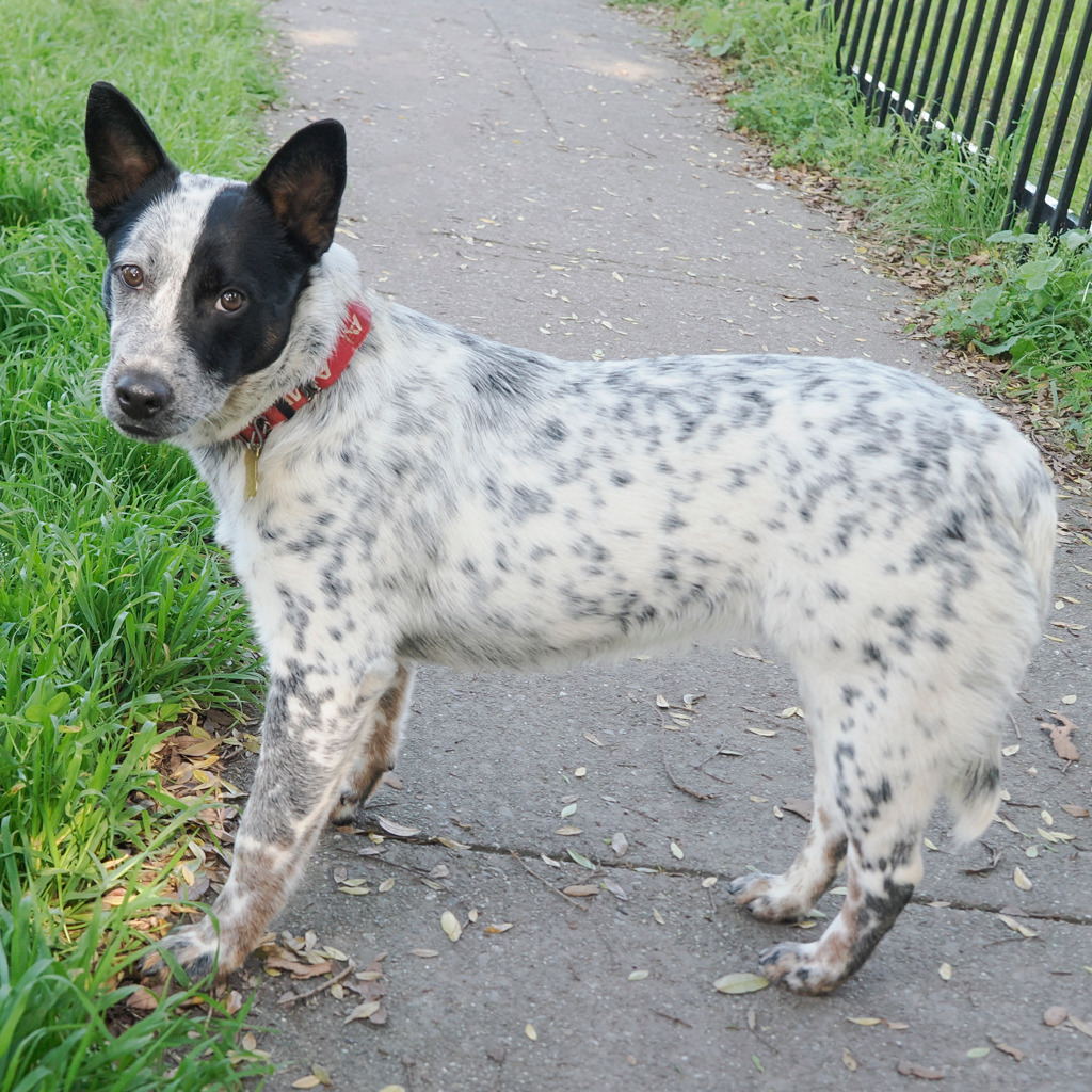 ERNIE, photo 4