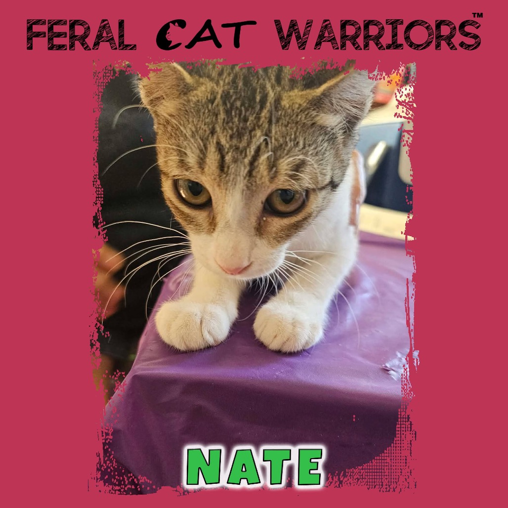 Nate