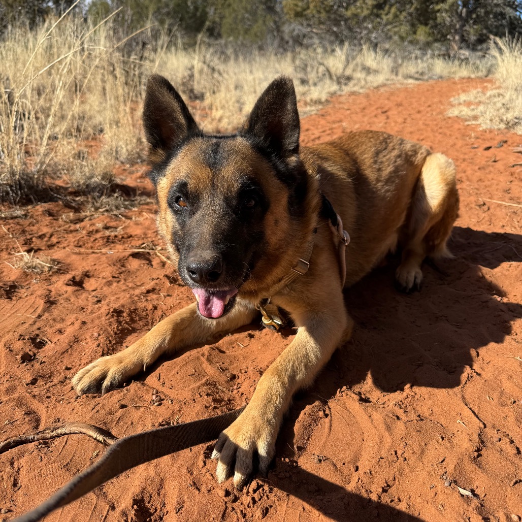 Wolfgang, photo 8
