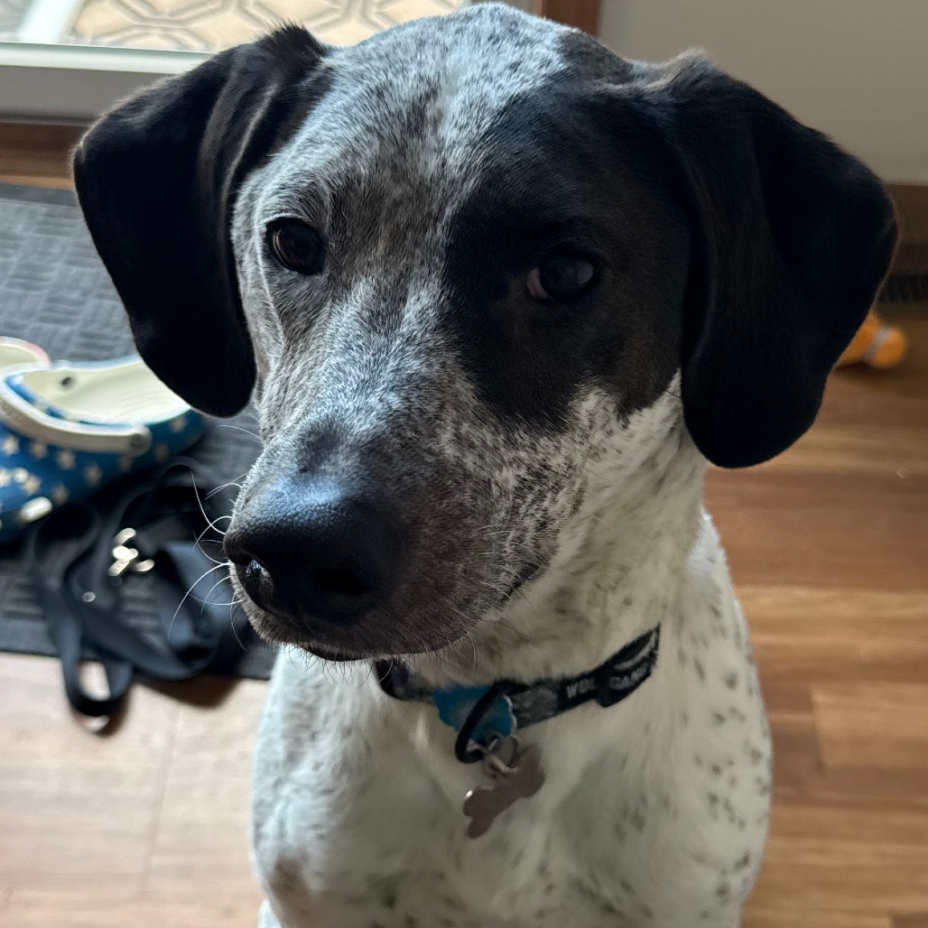 Walter