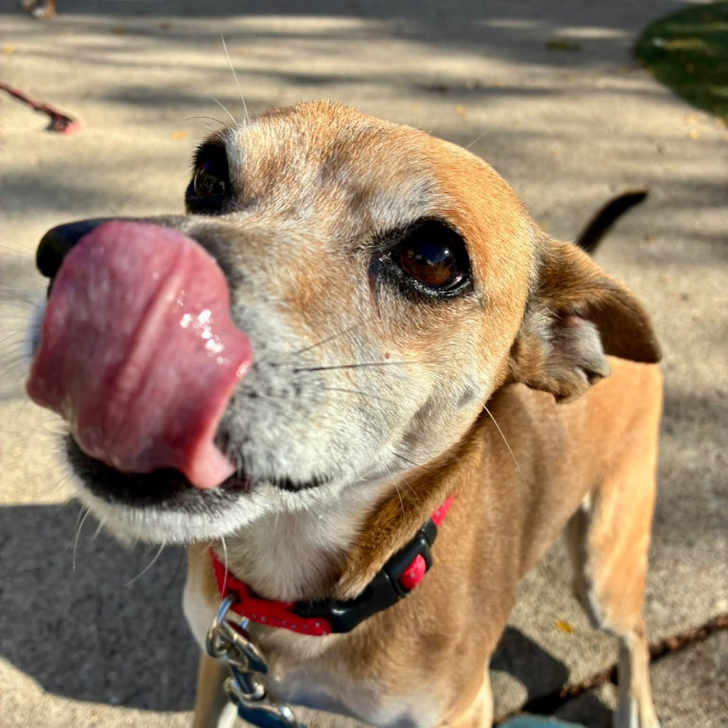 Duke