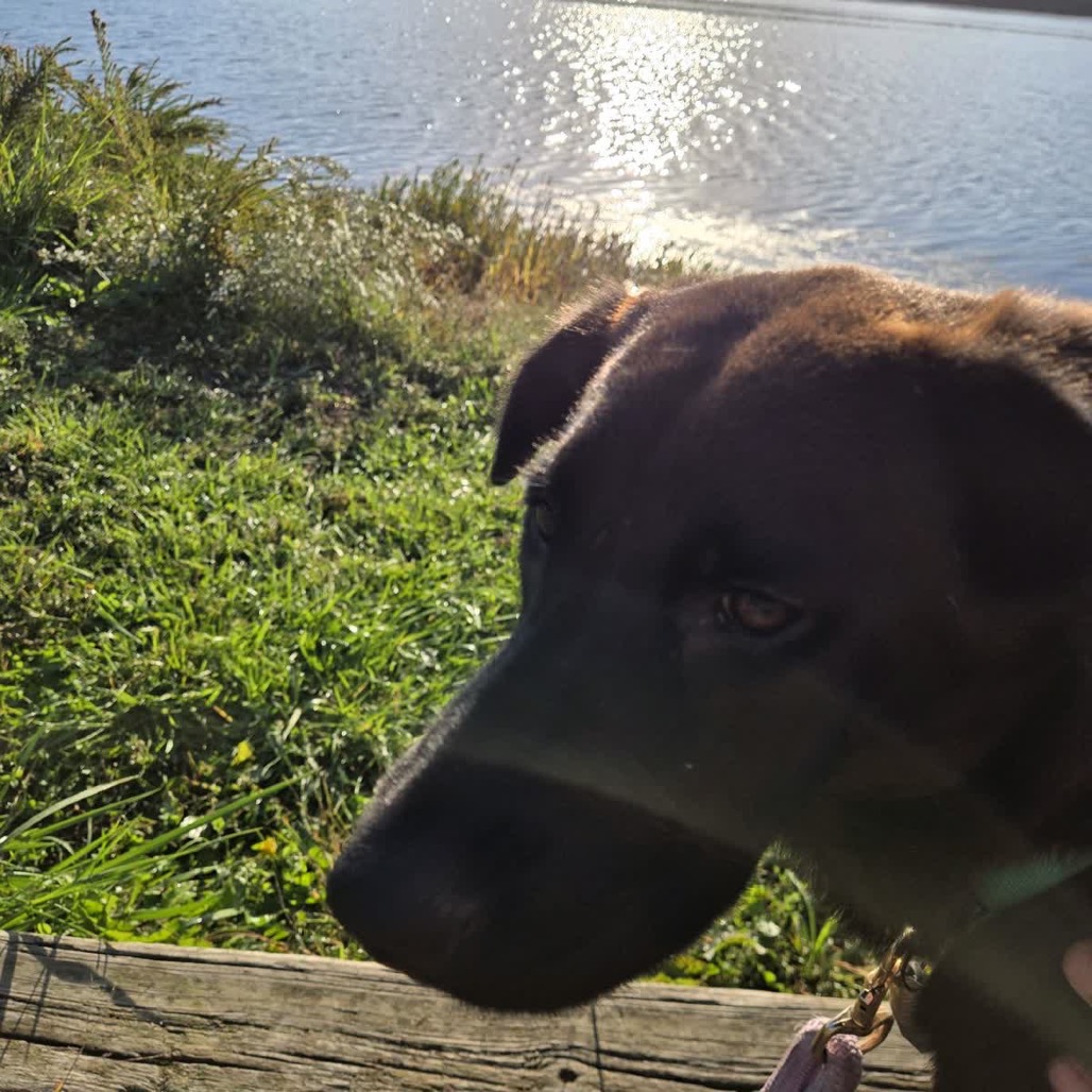 Brooks, photo 10