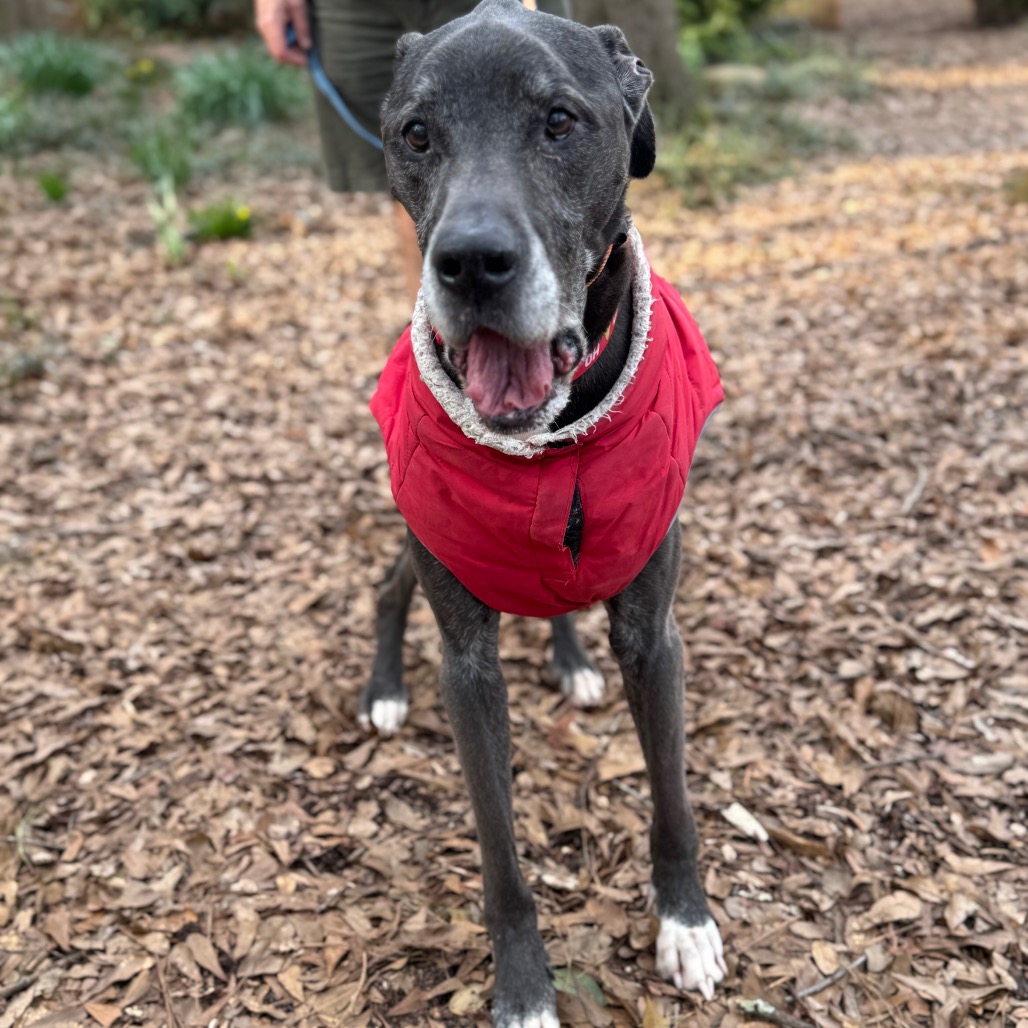 Ernest, additional photo
