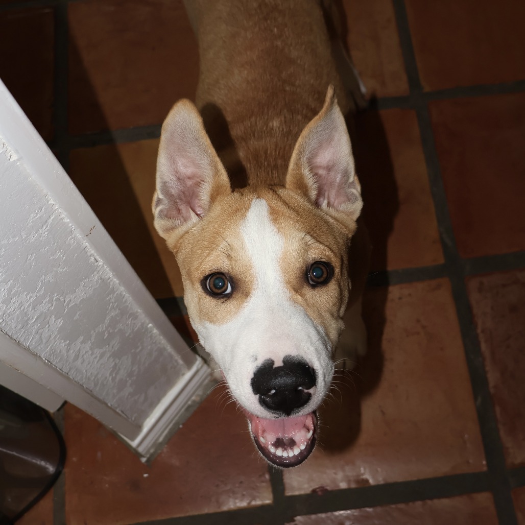 Max photo 2