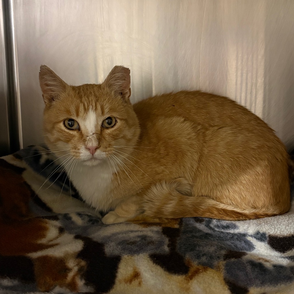 92312349dc90f9b6ec74b0d2b2ea8cb4