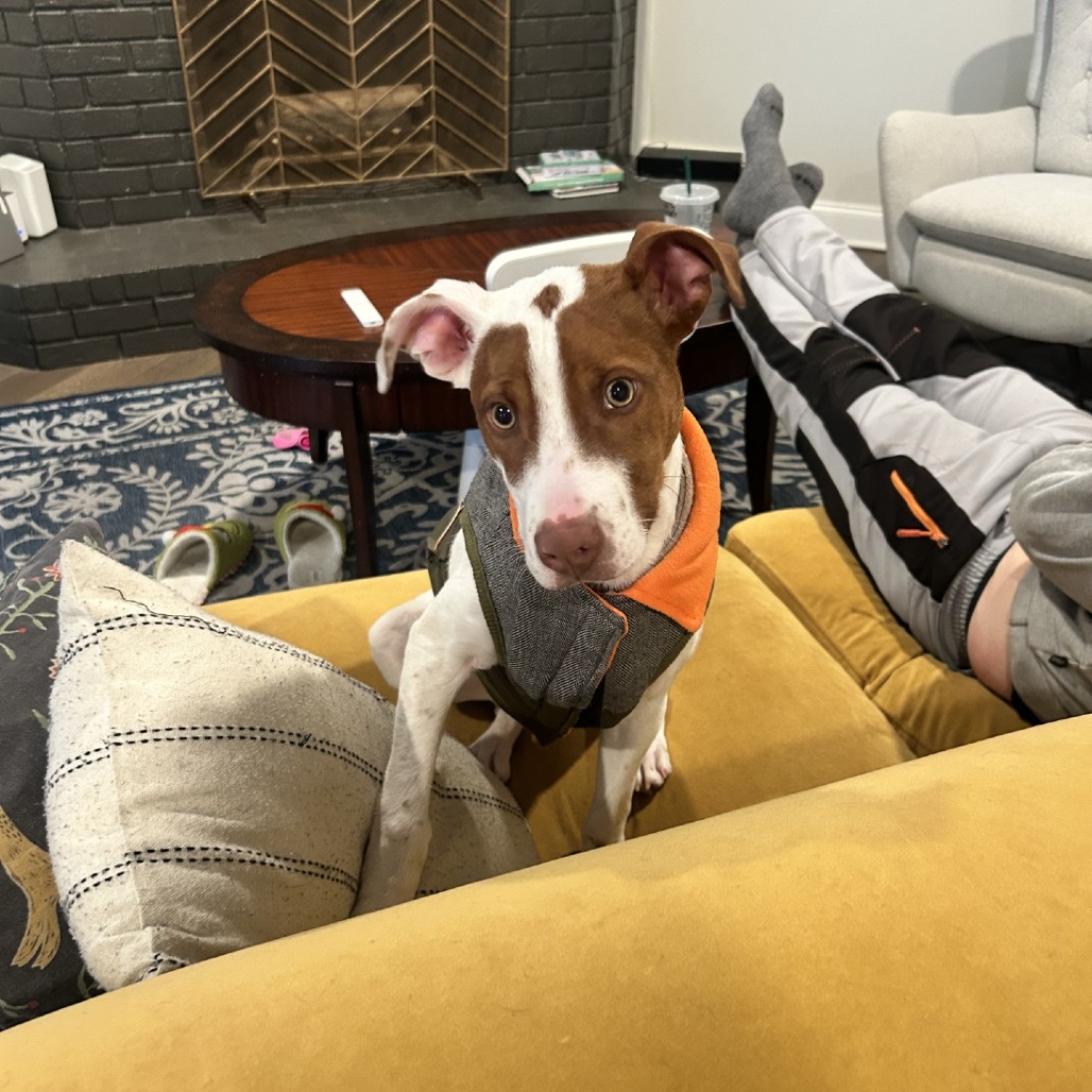 Creed — thumbnail 11