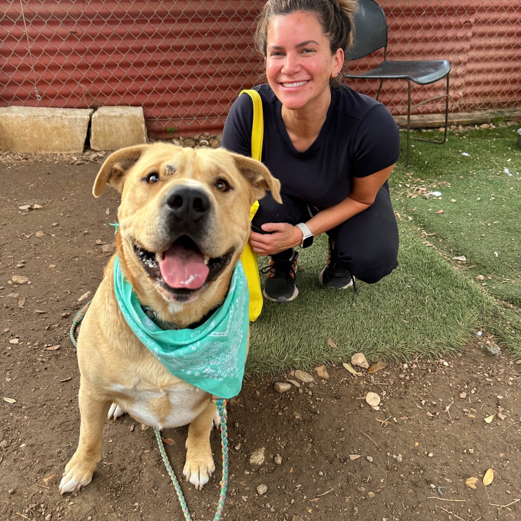 Inugami — thumbnail 5