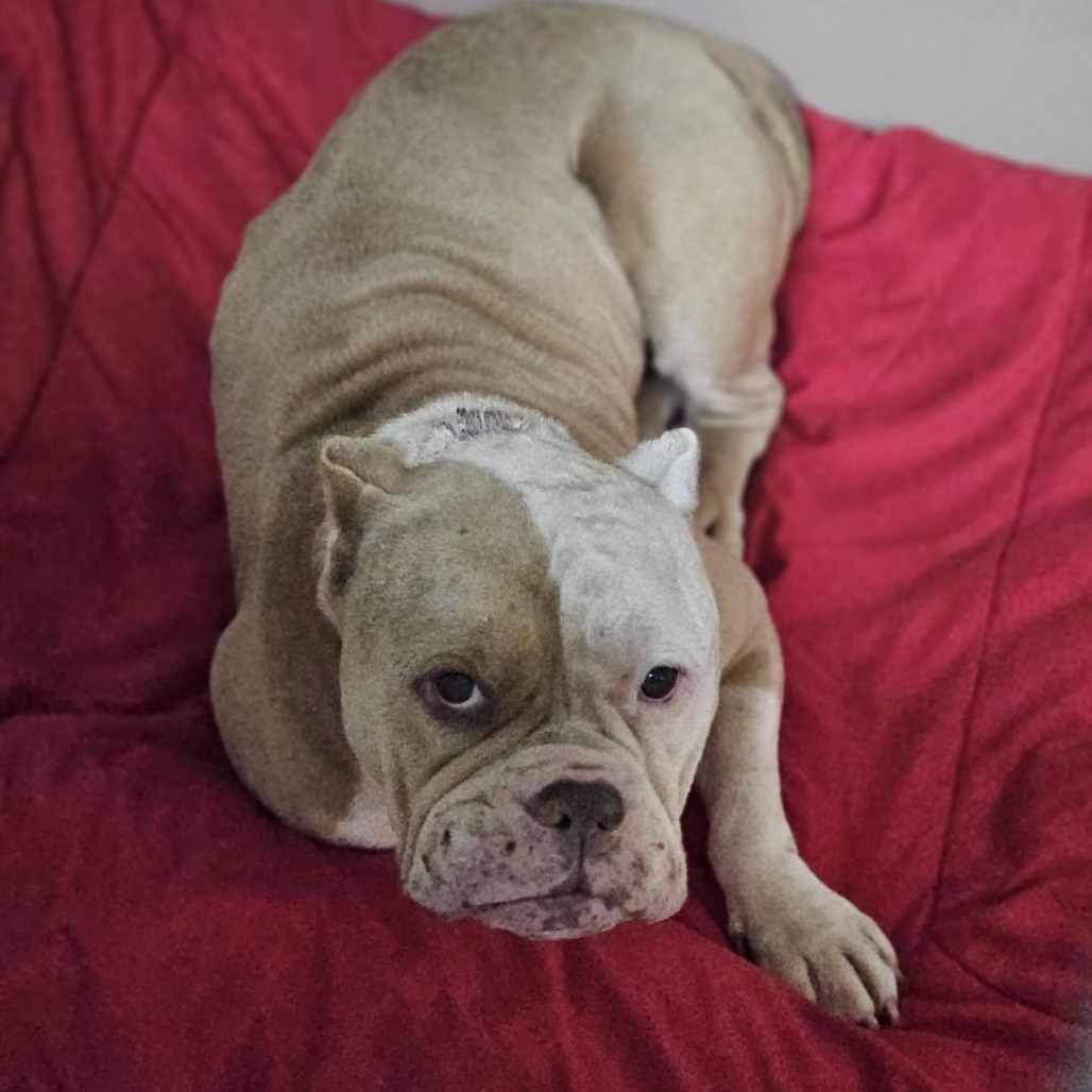 Kennel#14's preview photo