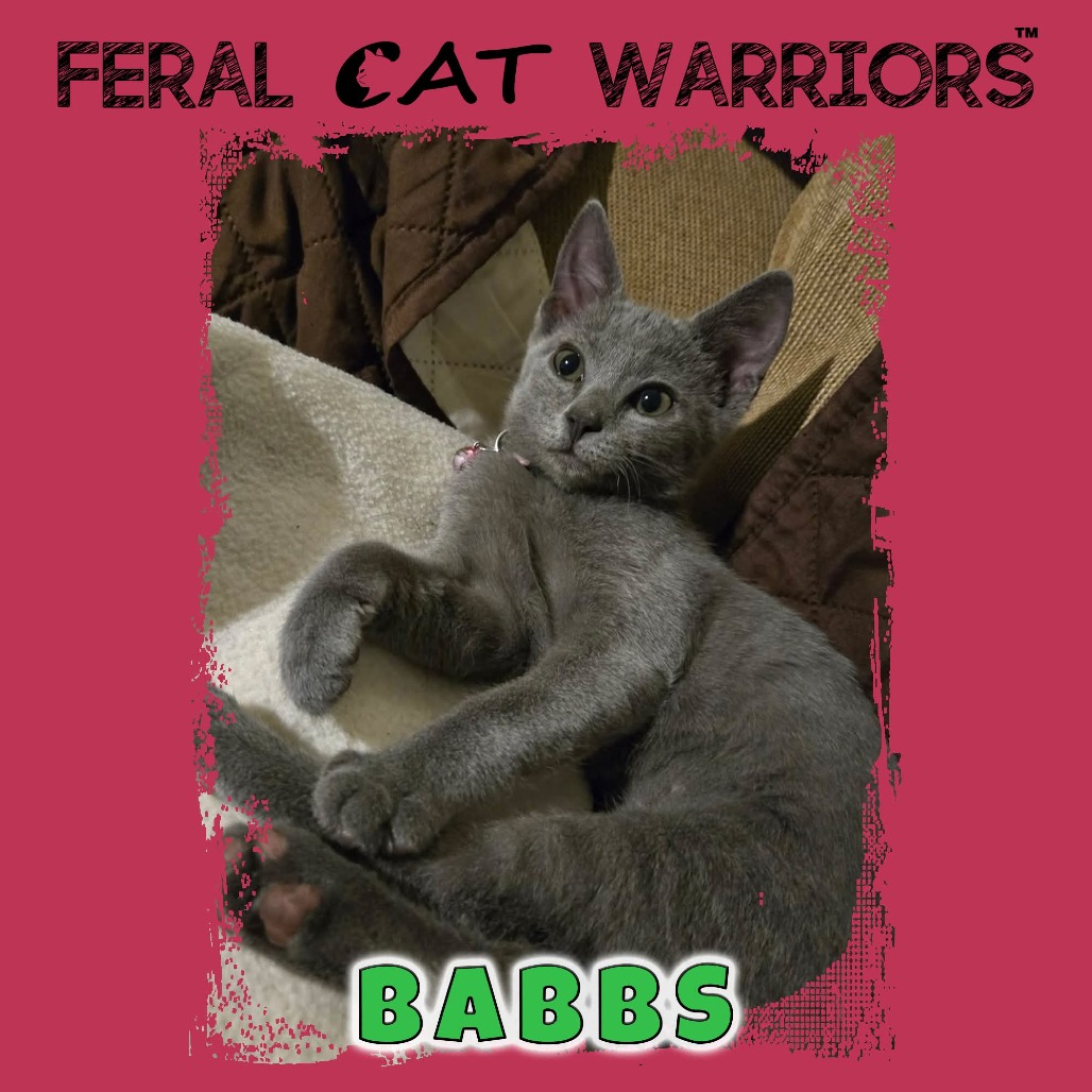 Babbs