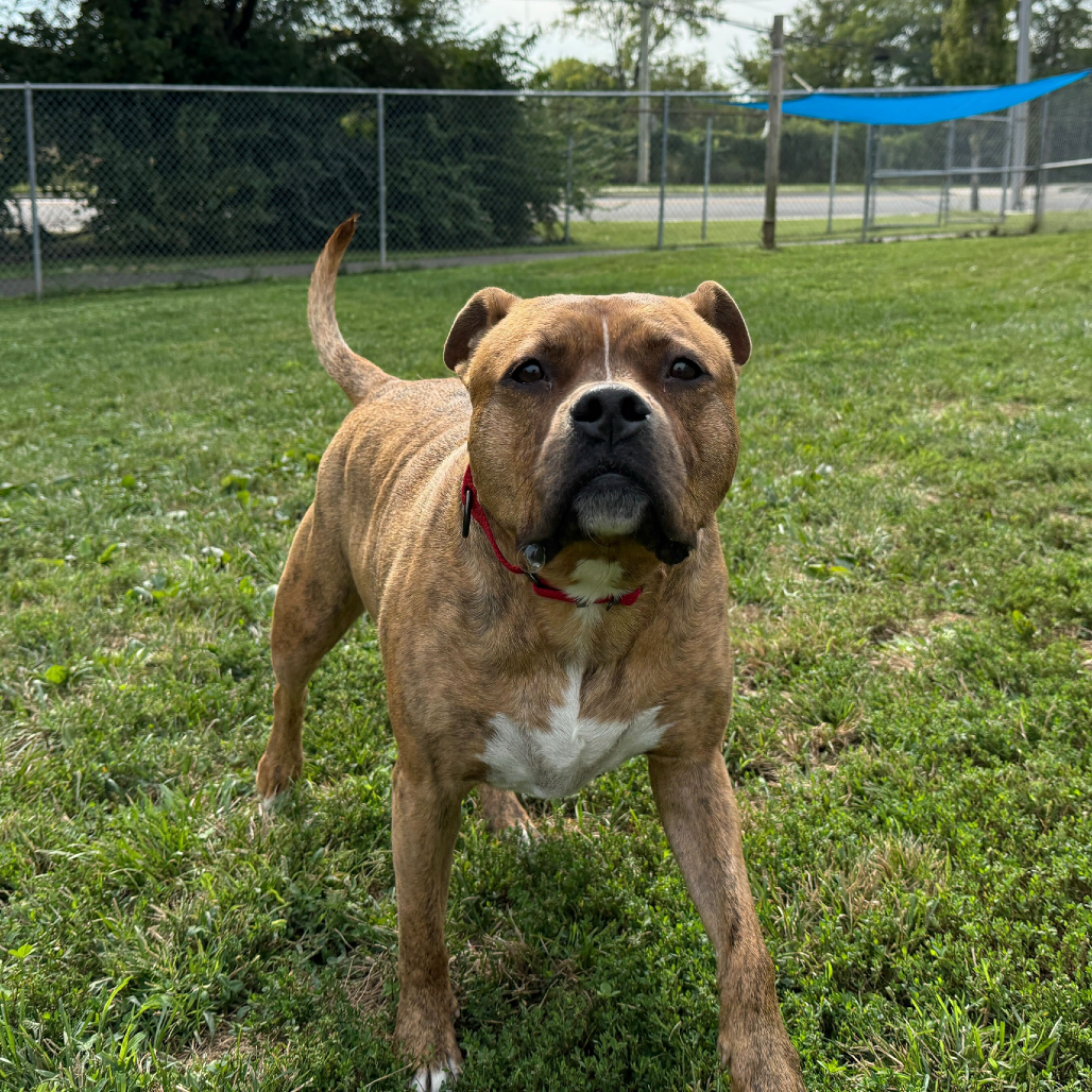 Zeus, additional photo