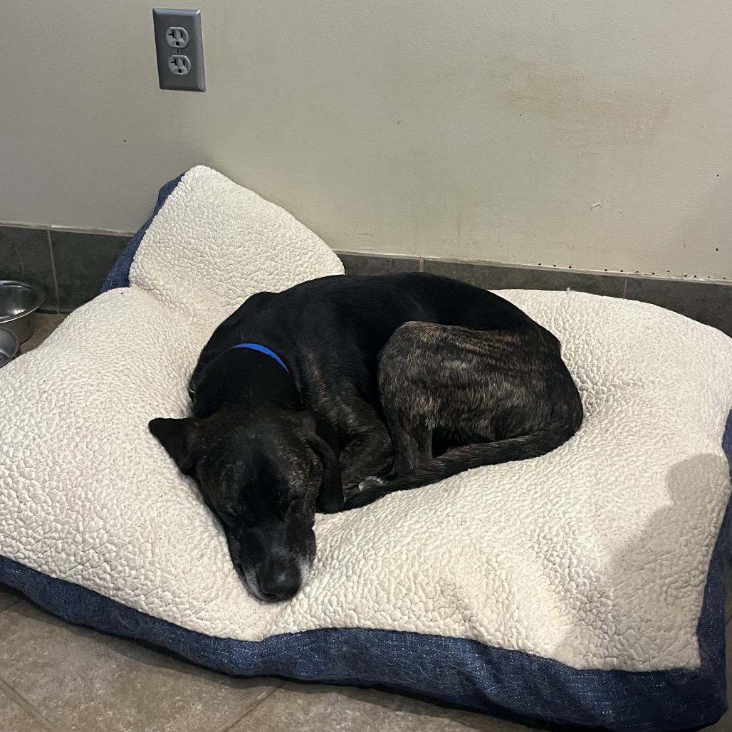 Derrick — thumbnail 4