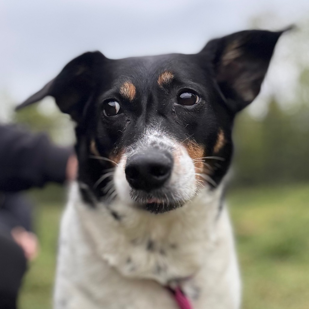 5fb69a0d53fedce2df6392eead0d4e46