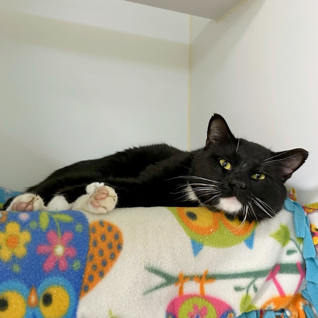 Johnny — thumbnail 4