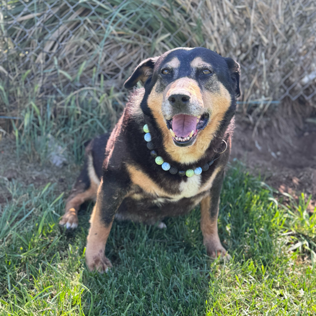 Ramona, photo 6
