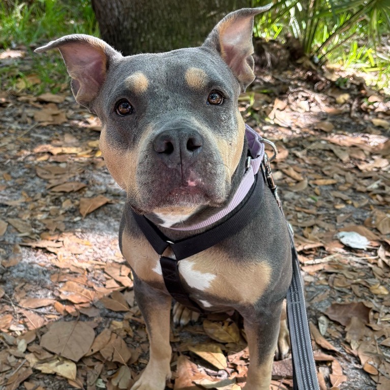 Photo of Mary Ann playing