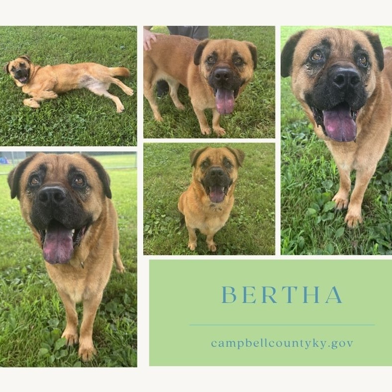 Bertha