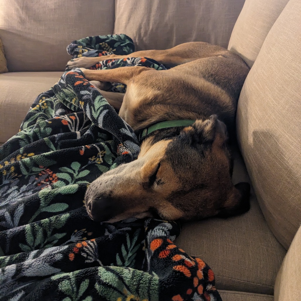 Lana (Courtesy Posting) — thumbnail 5