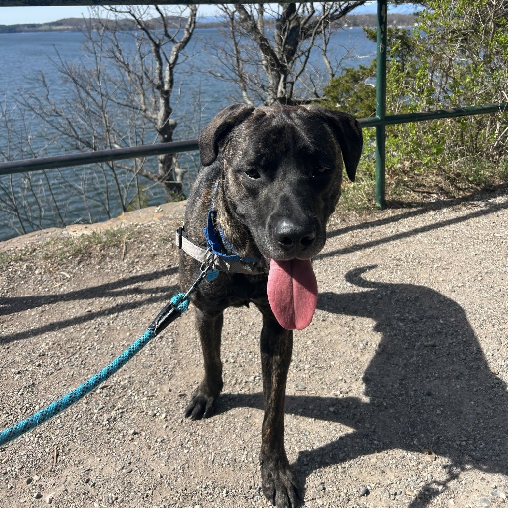 Earl, photo 14