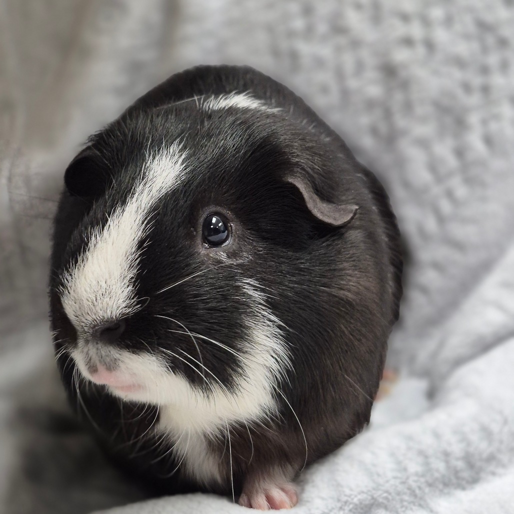 Ricky