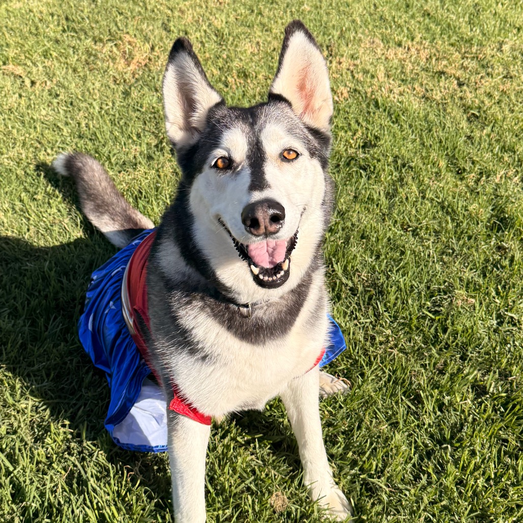 Tundra, photo 20