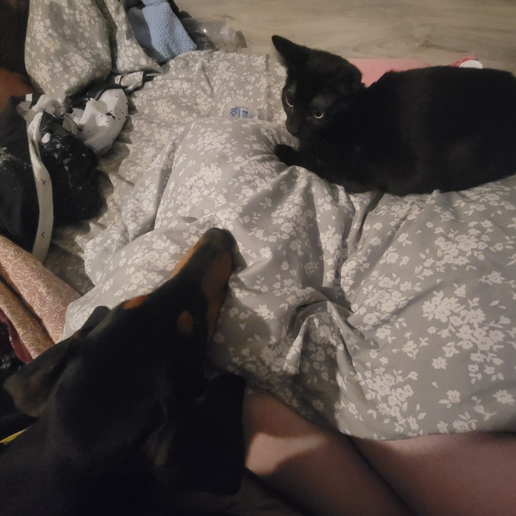 Venus — thumbnail 9