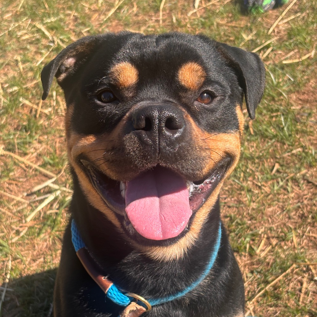 d270a4bd0285f4b3d703a1f42ae4bde0