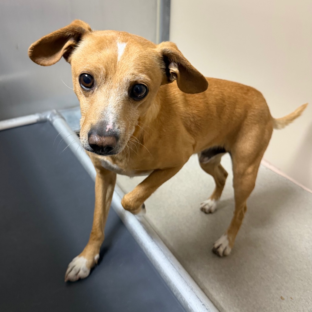 Kennel#5's preview photo