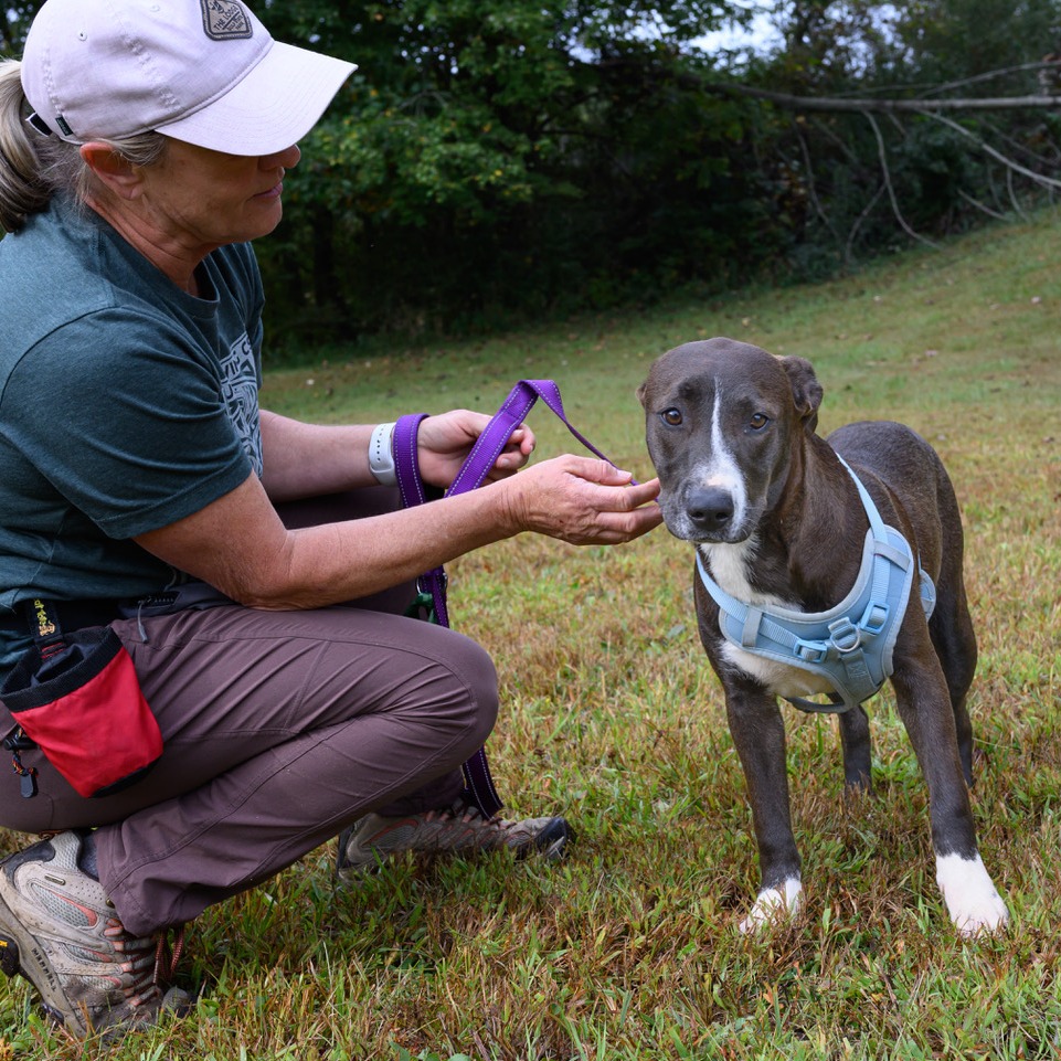 Ruthie, photo 9